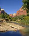 10608_12_10_2011_zion_national_park_utah_springdale_floor_valley_scenic_river_canyon_rock_sky_autum_color_tree_panoramic_landscape_photography_panorama_landschaft_50_4999x6120